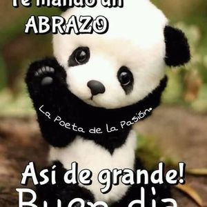 Meet your Posher, Lagartini